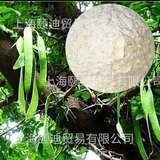 瓜尔胶/Guar gum
