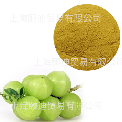余甘子粉/Emblic powder